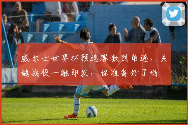 威尔士世界杯预选赛激烈角逐，关键战役一触即发，你准备好了吗